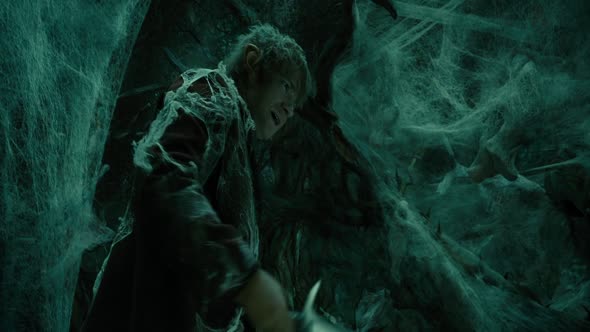 Náhled Hobbit.The.Desolation.of.Smaug.2013.720p.BluRay.x264.CZ.mkv (2)