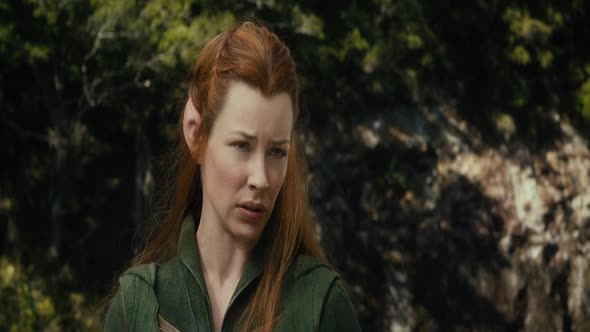 Náhled Hobbit.The.Desolation.of.Smaug.2013.720p.BluRay.x264.CZ.mkv (6)