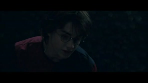 Náhled harry-potter-4-ohnivy-pohar-cz-2005-avi.avi (9)