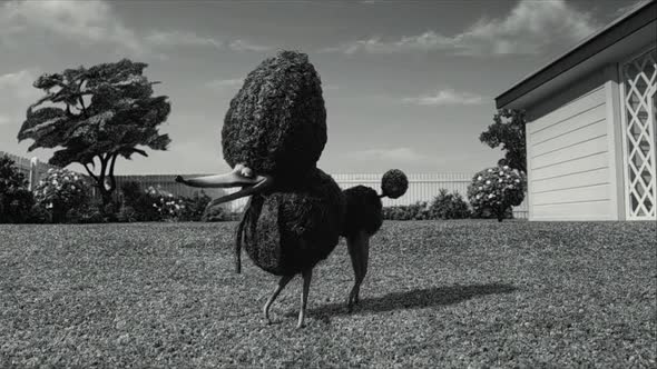 Náhled Frankenweenie-Domaci-mazlicek-Frankenweenie-2012dabing.avi (1)