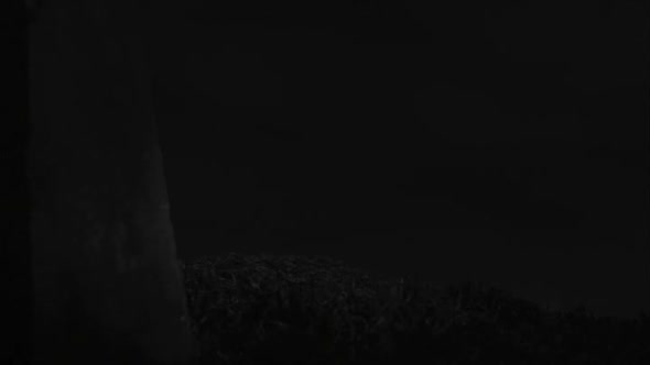 Náhled Frankenweenie-Domaci-mazlicek-Frankenweenie-2012dabing.avi (9)