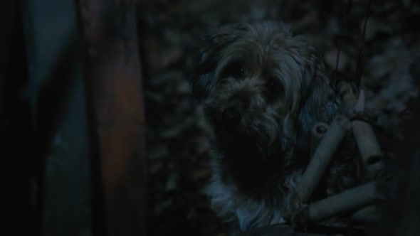 Náhled Kovar.z.Podlesi.2013.DVDrip.XviD.AC3.CZ-Starcross.avi (10)