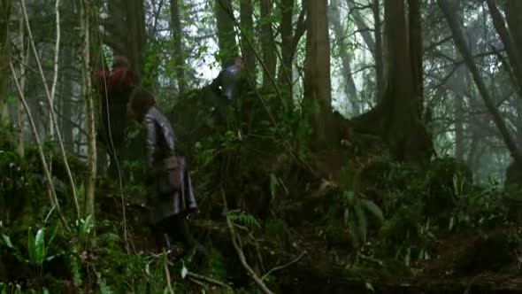 Náhled Jack-a-obři----Jack-the-Giant-Slayer-(2013)-CZ-Dabing.avi (4)