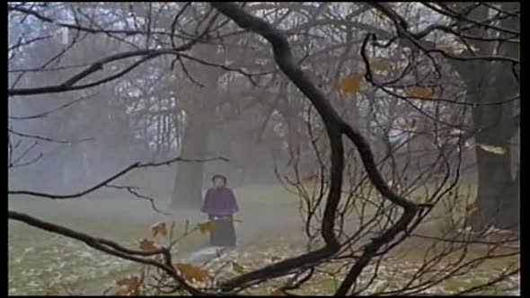 Náhled Strašidlo cantervillské (1989).avi (3)