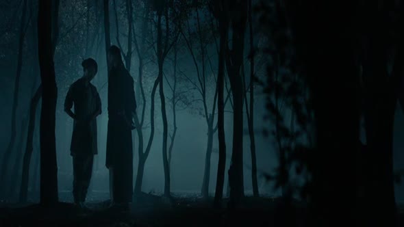 Náhled RISE OF THE LEGEND 2014 BDRip DD5.1 CZ titulky.avi (7)