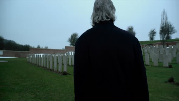 Náhled Roger Waters The Wall (2014) Ang.dab CZ.tit.BDRip (Hudební.Dokumentární).mkv (3)