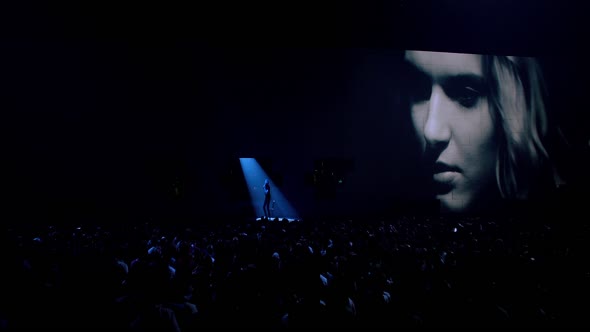 Náhled Roger Waters The Wall (2014) Ang.dab CZ.tit.BDRip (Hudební.Dokumentární).mkv (5)