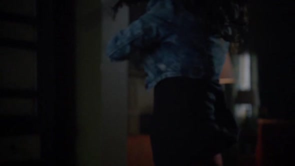 Náhled Vlci mlade 03x20 Dům ozvěn XviD WEB DL CZ.avi (7)