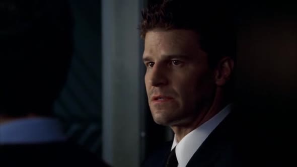 Náhled Sberatele kosti - Bones S04E07 On v ni (CZ).avi (9)