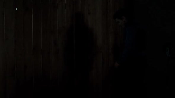 Náhled Noc hrůzy (2011).avi (2)