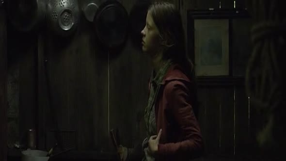 Náhled The Survivalist-2016-CZ.titulky.avi (3)