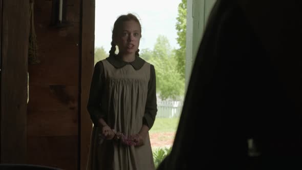Náhled Anne-z-Green-Gables-2016-cz.mkv (4)