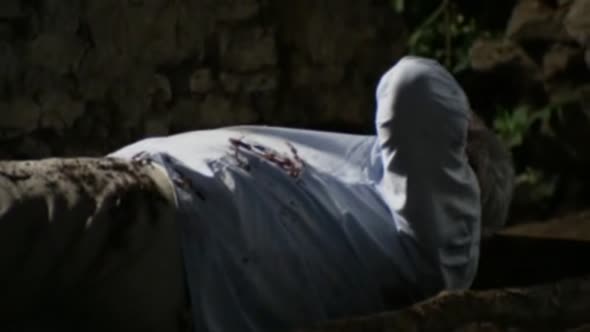 Náhled Bobule 2.avi (9)