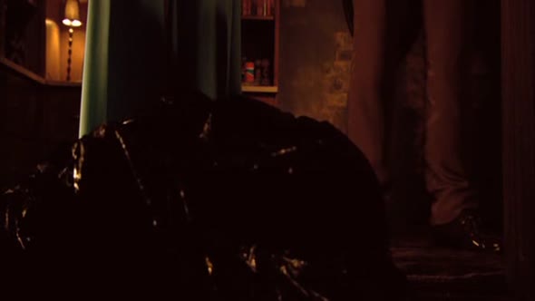 Náhled Svůdné zombie (2008) horor, komedie czdab.avi (5)