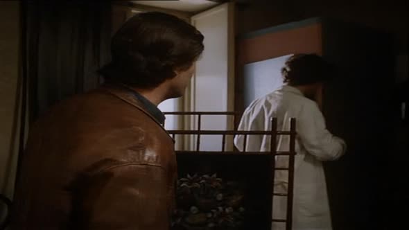 Náhled Dobré světlo (1985).avi (3)