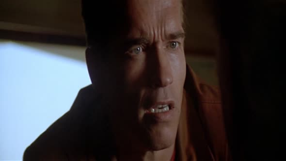 Náhled Poslední Akční Hrdina Last Action Hero 1080p x264 AC3 5.1 Cz dab 1993.mkv (2)