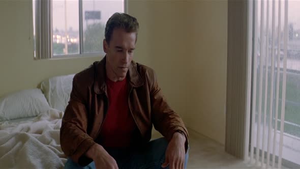 Náhled Poslední Akční Hrdina Last Action Hero 1080p x264 AC3 5.1 Cz dab 1993.mkv (6)