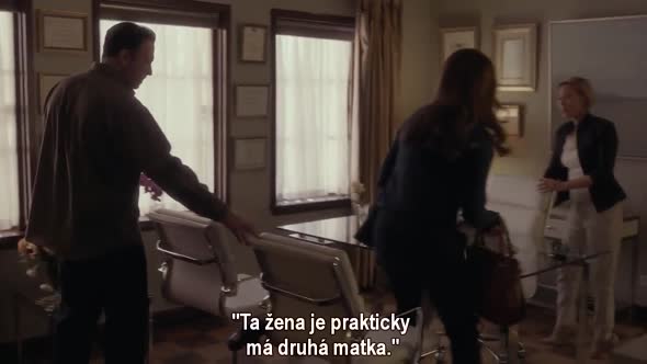 Náhled Gilmore-Girls-e01-WINTER-2016-CZtit.mp4 (8)
