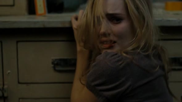 Náhled Stahni-me-do-pekla-2009480pDVDRip6-ChanelsCz.avi (4)
