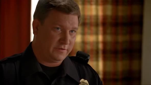 Náhled Breaking.Bad.S03E03.DVDRip.XviD-TRONDi.avi (3)