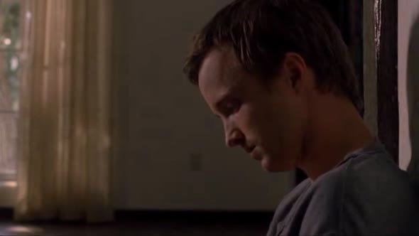 Náhled Breaking.Bad.S03E03.DVDRip.XviD-TRONDi.avi (4)