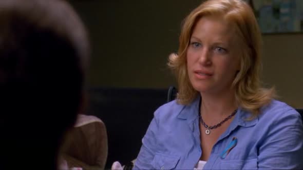 Náhled Breaking.Bad.S03E03.DVDRip.XviD-TRONDi.avi (8)