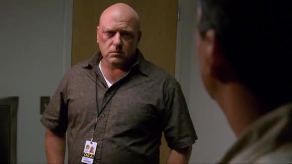 Náhled Breaking.Bad.S03E03.DVDRip.XviD-TRONDi.avi (10)