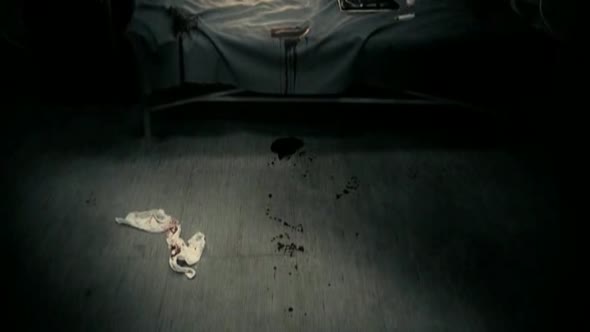 Náhled Srbský-Film---Srpski-film-(2010,-Cz-titulky,-Cz-tit.).avi (10)