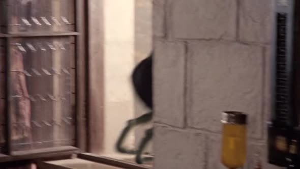 Náhled Merlin S03E03 DVDrip CZDAB.avi (2)
