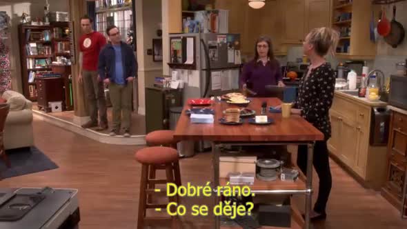 Náhled The Big Bang Theory S10E03 cz titulky.avi (1)