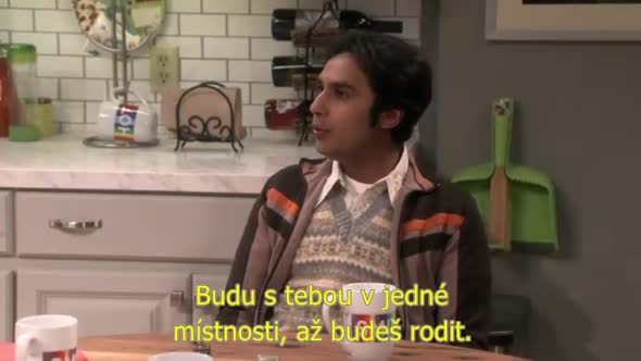 Náhled The Big Bang Theory S10E03 cz titulky.avi (2)