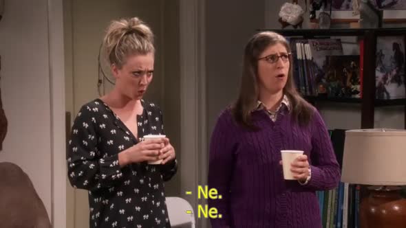 Náhled The Big Bang Theory S10E03 cz titulky.avi (5)