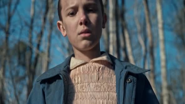Náhled Stranger.Things.S01E06.WEBRip.x264-Nicole.mkv (4)