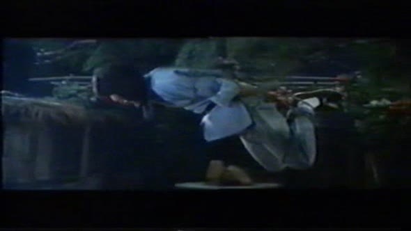 Náhled Gigant Shaolinu CZ.avi (7)