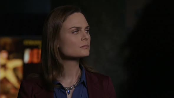 Náhled Sberatele kosti - Bones S05E18 Dravec v akvariu (CZ).avi (1)