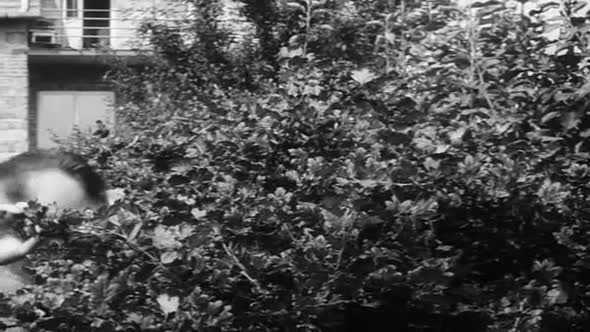 Náhled Intimní osvětlení - 1965 DVDrip CZfilm.mp4 (1)