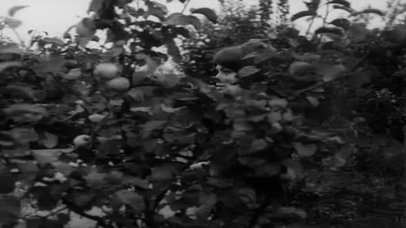Náhled Intimní osvětlení - 1965 DVDrip CZfilm.mp4 (8)