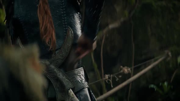 Náhled Lovec - Zimní válka (The Huntsman Winter's War - 2016) 1080p DD5.1 cz dabing, akční, fantasy.mkv (7)