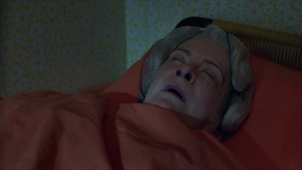 Náhled Mikulášovy patálie na prázdninách (2014) Novinka CZ dabing Rodinný Komedie výborná kvalita.avi (2)