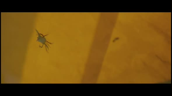 Náhled Vše je ztraceno - All Is Lost - 2013 BRrip CZdabing.avi (7)