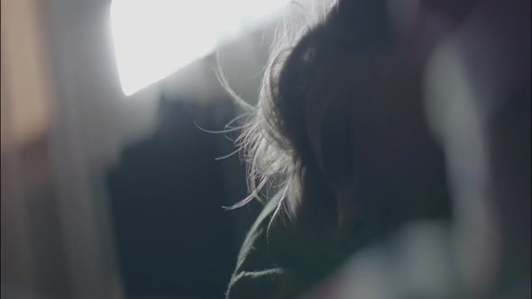 Náhled Ani.ve.snu.2016.480p.WEBRip.XviD.AC3.CZ.avi (9)