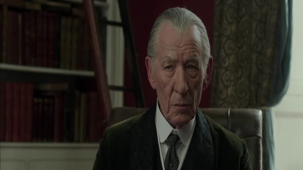 Náhled MR. HOLMES 2015 5.1 CZ DABING BLURAY.mkv (2)