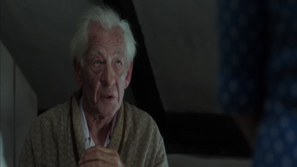 Náhled MR. HOLMES 2015 5.1 CZ DABING BLURAY.mkv (8)