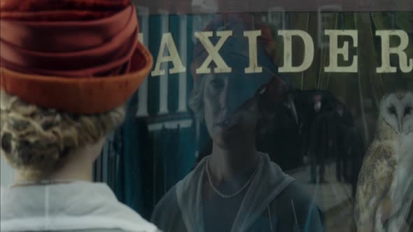Náhled MR. HOLMES 2015 5.1 CZ DABING BLURAY.mkv (9)