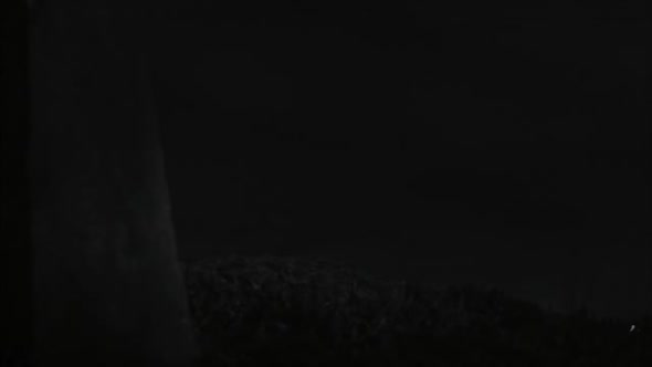 Náhled Frankenweenie Domácí mazlíček (2012) CZ Dabing.avi (9)