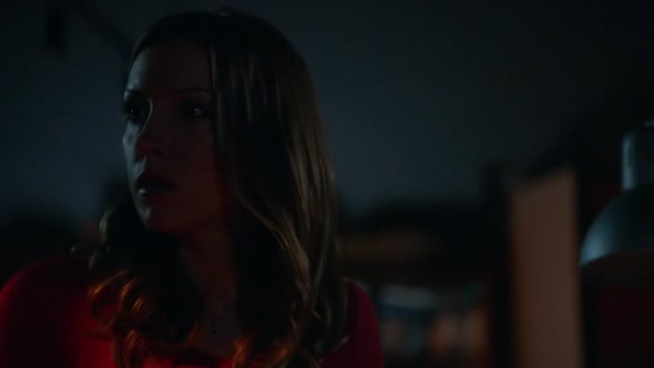 Náhled Arrow S01E04.avi (7)