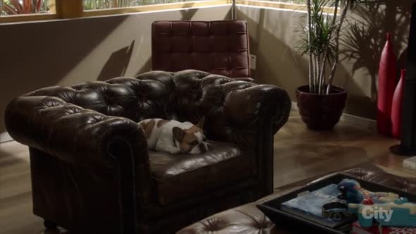 Náhled Modern.Family.S08E02.HDTV.x264-KILLERS.mkv (5)