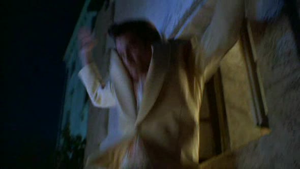 Náhled Ace Ventura 1 (1994).avi (4)
