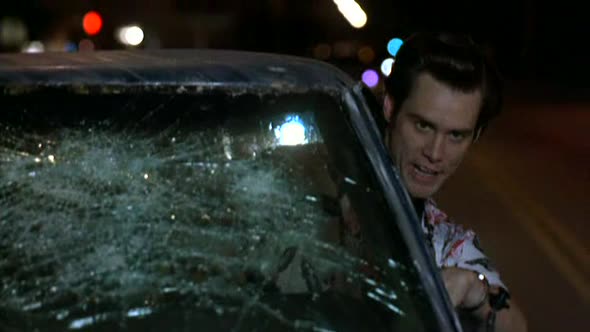 Náhled Ace Ventura 1 (1994).avi (6)