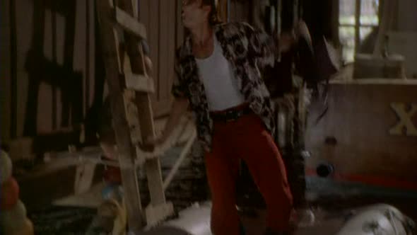 Náhled Ace Ventura 1 (1994).avi (10)
